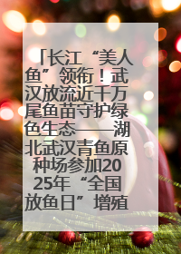 长江“美人鱼”领衔！武汉放流近千万尾鱼苗守护绿色生态——湖北武汉青鱼原种场参加2025年“全国放鱼日”增殖放流活动