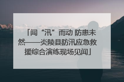 闻“汛”而动 防患未然——炎陵县防汛应急救援综合演练现场见闻