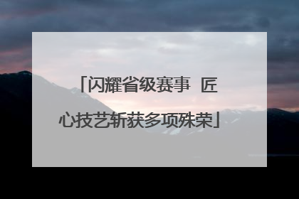 闪耀省级赛事  匠心技艺斩获多项殊荣