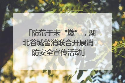 防范于未“燃”，湖北谷城警消联合开展消防安全宣传活动