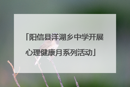 阳信县洋湖乡中学开展心理健康月系列活动