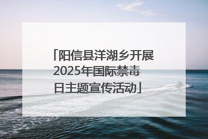 阳信县洋湖乡开展2025年国际禁毒日主题宣传活动