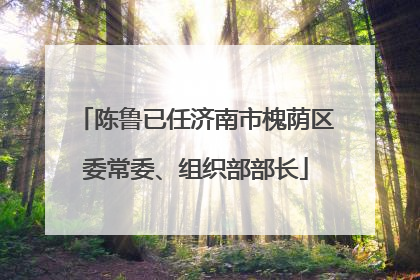 陈鲁已任济南市槐荫区委常委、组织部部长