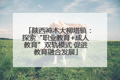 陕西神木大柳塔镇：探索“职业教育+成人教育”双轨模式 促进教育融合发展