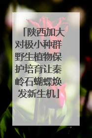 陕西加大对极小种群野生植物保护培育让秦岭石蝴蝶焕发新生机