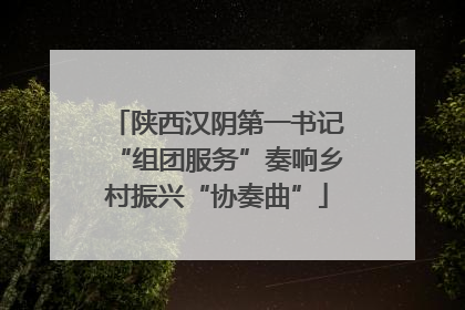 陕西汉阴第一书记“组团服务”奏响乡村振兴“协奏曲”