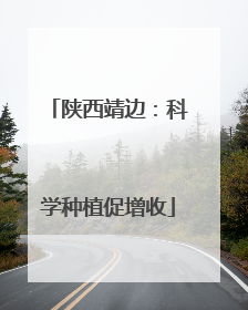 陕西靖边：科学种植促增收