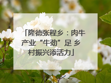 隆德张程乡：肉牛产业“牛劲”足 乡村振兴添活力