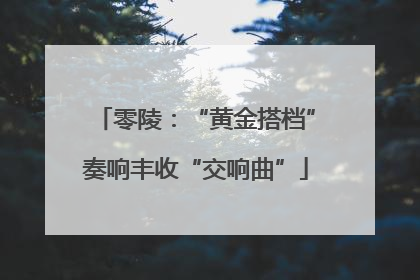 零陵：“黄金搭档”奏响丰收“交响曲”