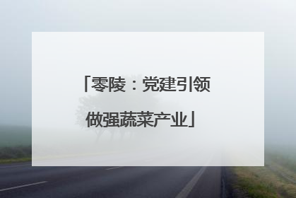 零陵：党建引领 做强蔬菜产业