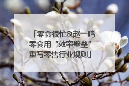 零食很忙&赵一鸣零食用“效率壁垒”重写零售行业规则