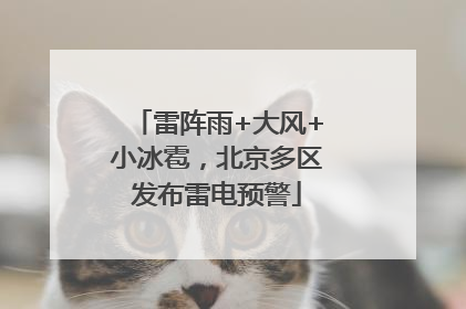 雷阵雨+大风+小冰雹，北京多区发布雷电预警