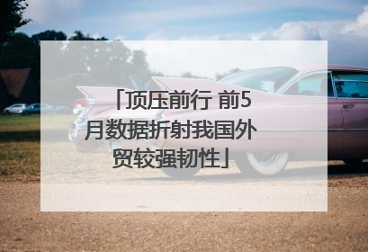 顶压前行 前5月数据折射我国外贸较强韧性