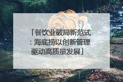 餐饮业破局新范式：海底捞以创新管理驱动高质量发展