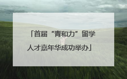 首届“青和力”留学人才嘉年华成功举办