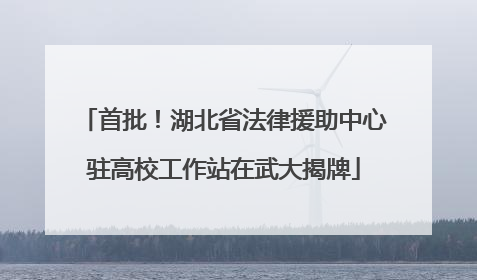 首批！湖北省法律援助中心驻高校工作站在武大揭牌
