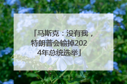 马斯克：没有我，特朗普会输掉2024年总统选举