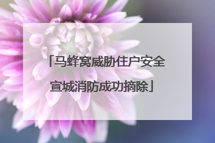 马蜂窝威胁住户安全 宣城消防成功摘除