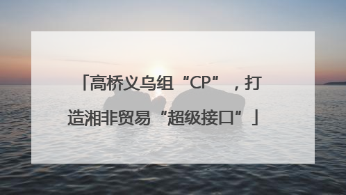 高桥义乌组“CP”，打造湘非贸易“超级接口”