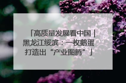 高质量发展看中国｜黑龙江绥滨：一枚鹅蛋打造出“产业图腾”