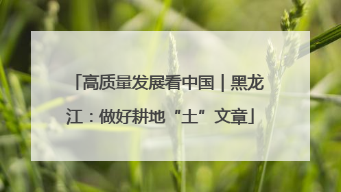 高质量发展看中国｜黑龙江：做好耕地“土”文章