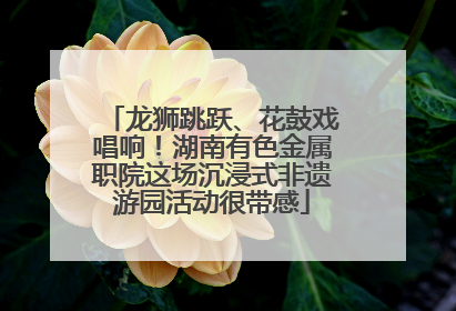 龙狮跳跃、花鼓戏唱响！湖南有色金属职院这场沉浸式非遗游园活动很带感