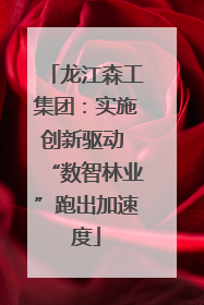 龙江森工集团：实施创新驱动 “数智林业”跑出加速度