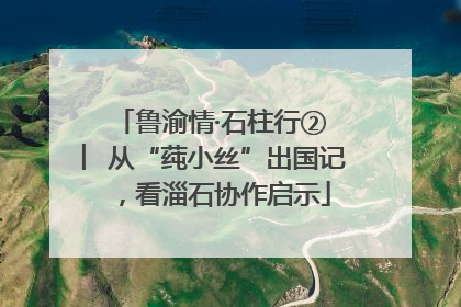 鲁渝情·石柱行② ︳从“莼小丝”出国记，看淄石协作启示