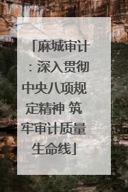 麻城审计：深入贯彻中央八项规定精神 筑牢审计质量生命线