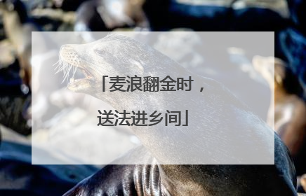 麦浪翻金时，送法进乡间