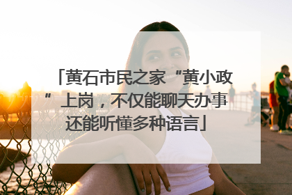 黄石市民之家“黄小政”上岗，不仅能聊天办事还能听懂多种语言