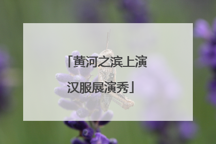 黄河之滨上演汉服展演秀