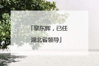 黎东辉，已任湖北省领导