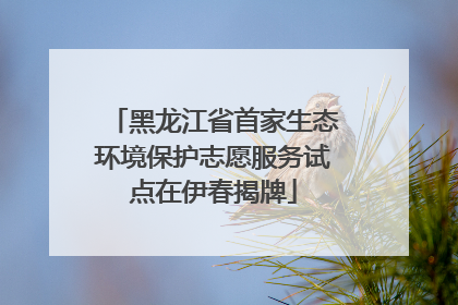 黑龙江省首家生态环境保护志愿服务试点在伊春揭牌