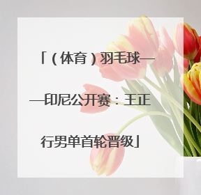 （体育）羽毛球——印尼公开赛：王正行男单首轮晋级