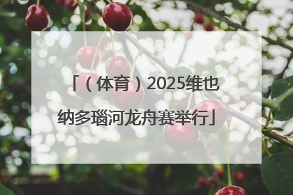 （体育）2025维也纳多瑙河龙舟赛举行