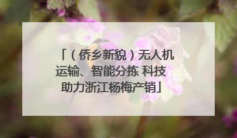 （侨乡新貌）无人机运输、智能分拣 科技助力浙江杨梅产销