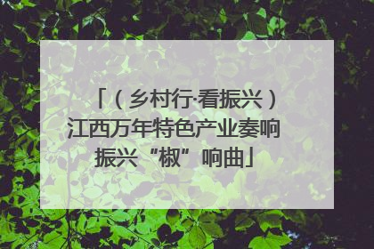 （乡村行·看振兴）江西万年特色产业奏响振兴“椒”响曲