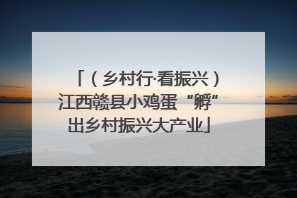 （乡村行·看振兴）江西赣县小鸡蛋“孵”出乡村振兴大产业