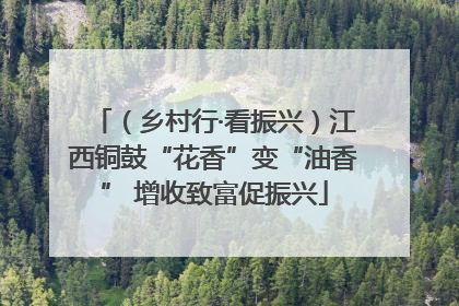（乡村行·看振兴）江西铜鼓“花香”变“油香” 增收致富促振兴