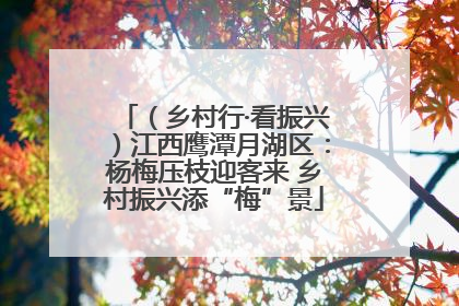 （乡村行·看振兴）江西鹰潭月湖区：杨梅压枝迎客来 乡村振兴添“梅”景