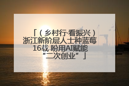 （乡村行·看振兴）浙江新阶层人士种蓝莓16载 盼用AI赋能“二次创业”