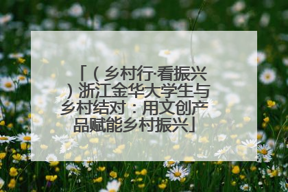 （乡村行·看振兴）浙江金华大学生与乡村结对：用文创产品赋能乡村振兴