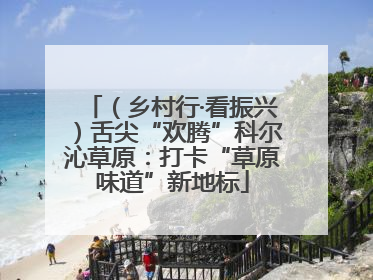 （乡村行·看振兴）舌尖“欢腾”科尔沁草原：打卡“草原味道”新地标
