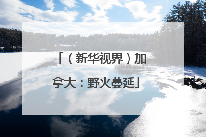 （新华视界）加拿大：野火蔓延