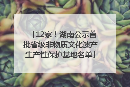 12家！湖南公示首批省级非物质文化遗产生产性保护基地名单