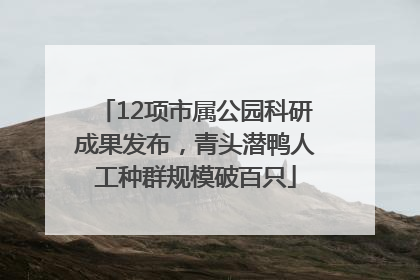 12项市属公园科研成果发布，青头潜鸭人工种群规模破百只