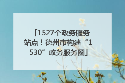 1527个政务服务站点！德州市构建“1530”政务服务圈