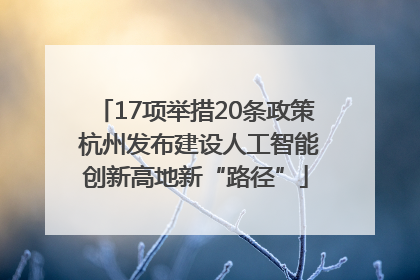 17项举措20条政策 杭州发布建设人工智能创新高地新“路径”