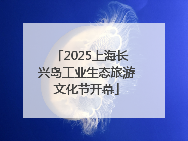 2025上海长兴岛工业生态旅游文化节开幕